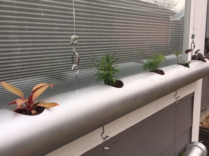 Как сделать подвесной сад для комнатных растений, который впишется в любой интерьер