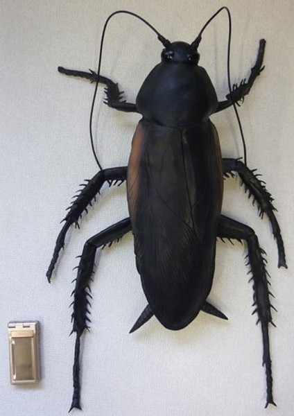Самый большой таракан Mega Cockroach