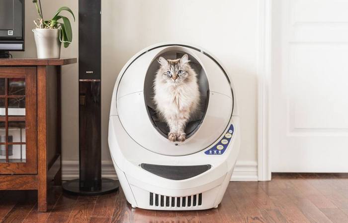 Litter-Robot III – самый умный кошачий туалет, который сам уберёт за питомцем