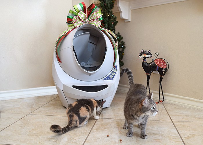 Litter-Robot III – самый умный кошачий туалет, который сам уберёт за питомцем
