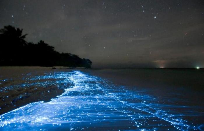Фантастическое свечение мальдивских пляжей, которое остается настоящей загадкой по сей день