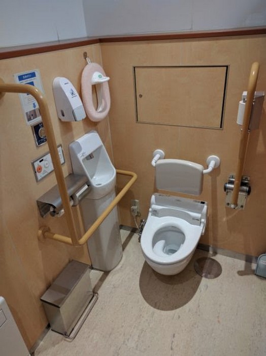 tualety raznyh stranah novate11 Домострой