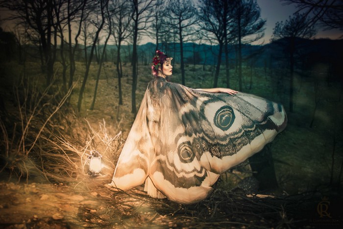 Фантастические шали «крылья бабочки» от CostureroReal