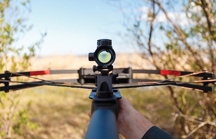 Применение оптического прицела при стрельбе из арбалета. Фото: wikimedia.org