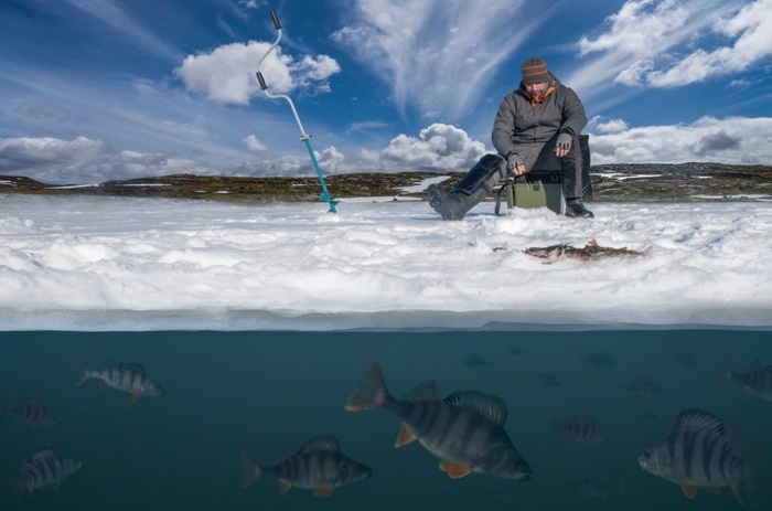Зимой рыба чаще всего клюет утром и в обед