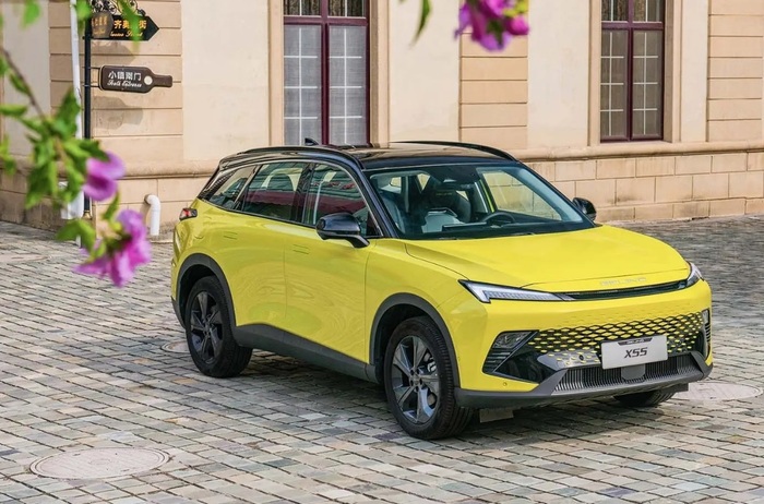 Подвеска BAIC X55 шумит даже с небольшим пробегом Подвеска BAIC X55 шумит даже с небольшим пробегом