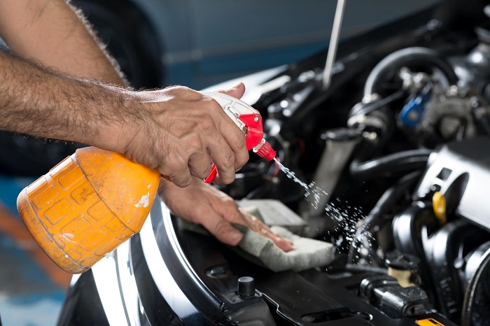Как и зачем мыть двигатель автомобиля/ Фото: somanyhorses.ru