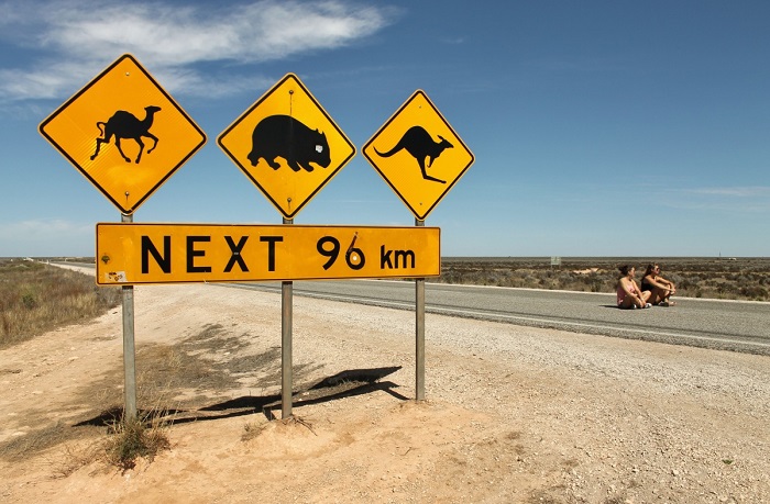 Австралийское шоссе растянулось на 14,5 тыс. км/ Фото: cfts.org.ua