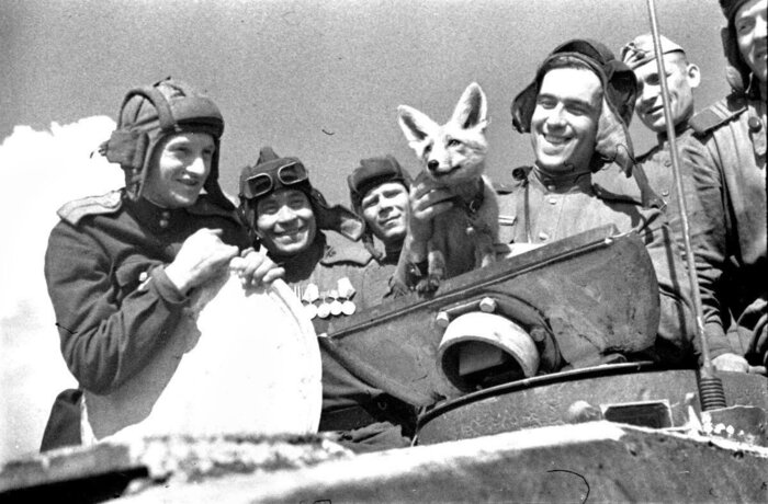 Танкисты в редкие минуты досуга/ Фото: reactor.cc