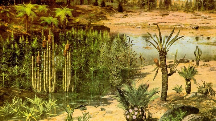 Древние растения, из которых через много миллионов лет получается нефть/ Фото: kipmu.ru