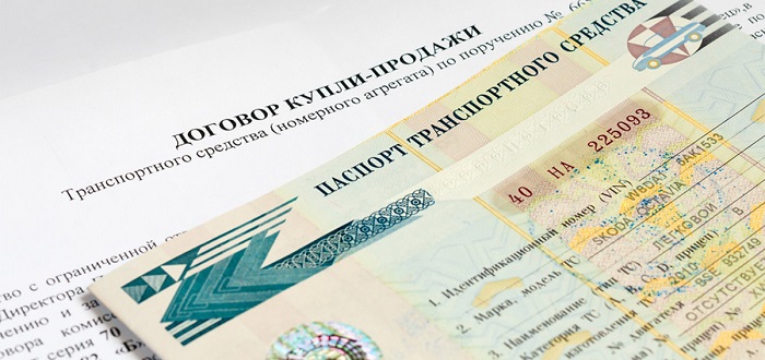 Паспорт транспортного средства/ Фото: autonews.ru