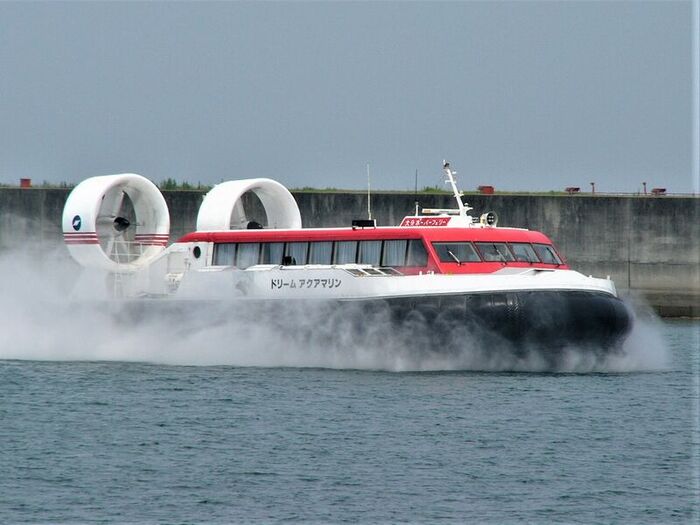 Судно на воздушной подушке может двигаться по воде и мелководью и даже выходить на сушу. Фото: ruwiki.ru