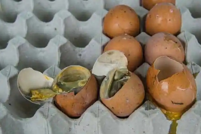 «Аромат» тухлых яиц указывает на неполадки топливной системы или катализатора. Фото: civiconcepts.com