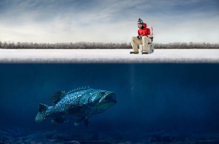 Рыба концентрируется в определенных местах водоема