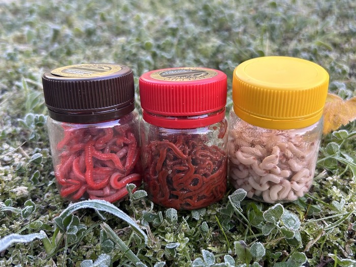 Корм для приманивания рыбы зимой