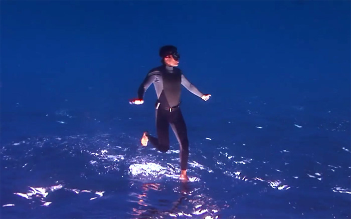 Лучшее подводное видео 2014 года