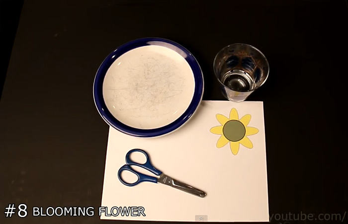 Видео-инструкция: как сделать бумажный цветок, который раскрывается в воде