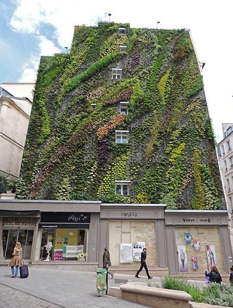 Парижское здание с вертикальным садом на одной из стен