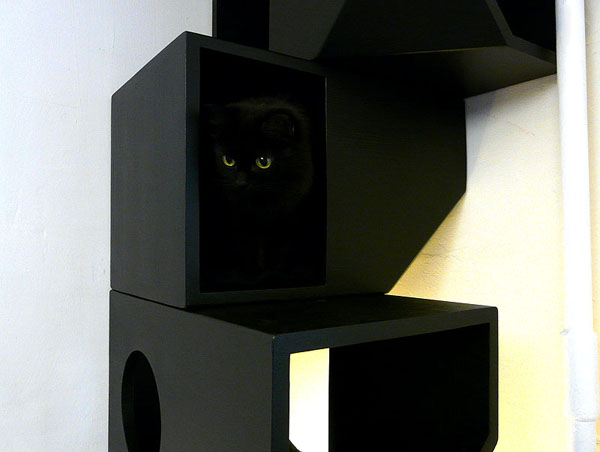 Черная кошка в черной комнате..