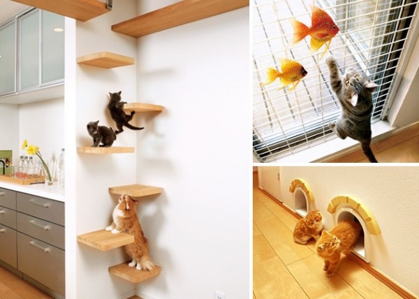 Dream Home: дом мечты для кошек и людей от Asahi Kasei