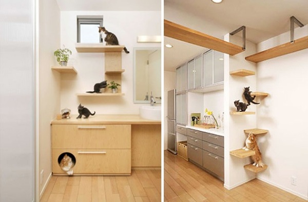 Dream Home: дом мечты для кошек и людей от Asahi Kasei