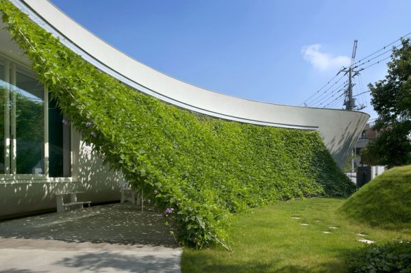 Защитный зеленый экран в доме Green Screen House от Hideo Kumaki Architect Office