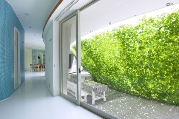 Защитный зеленый экран в доме Green Screen House от Hideo Kumaki Architect Office