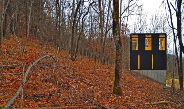 Stacked Cabin: малобюджетный семейный коттедж в лесах Висконсина