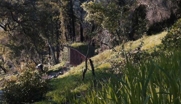 Timber Home: дом на 8-ми квадратных метрах в горах Калифорнии