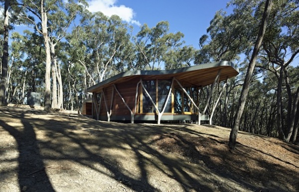 Природная архитектура жилого дома Trunk House в Австралии
