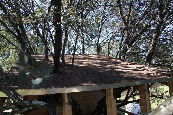 Casa en el Arbol Enraizada – дом на дереве от Urbanarbolismo