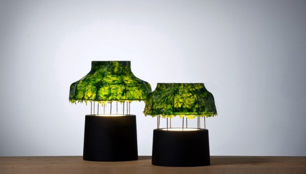 Лампа из водорослей