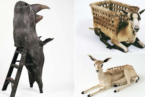 пугающая мебель в виде животных (и из животных) от Carlee Fernandez