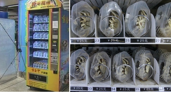 Crab Vending Machine - круглосуточный торговый автомат с живыми крабами в Шанхае