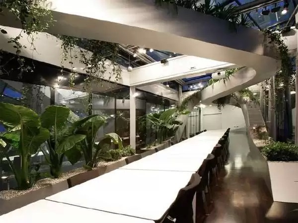 Тропическая теплица - вариант тотального озеленения офисного пространства от дизайнеров из Sadar+Vuga