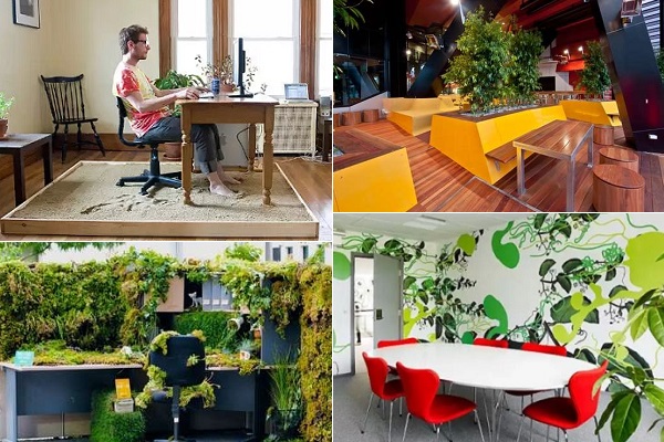 Потрясающие варианты озеленения офисного пространства