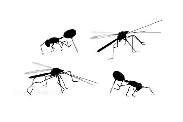 Кнопки в форме комаров и муравьев