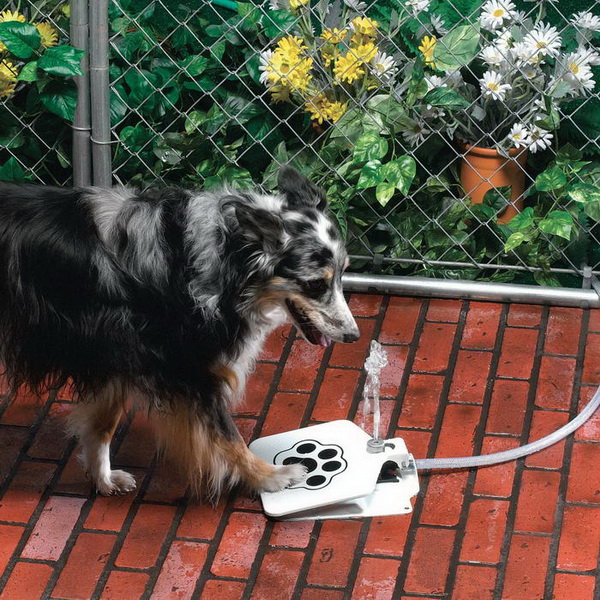 собачья поилка API Doggie Fountain F-1