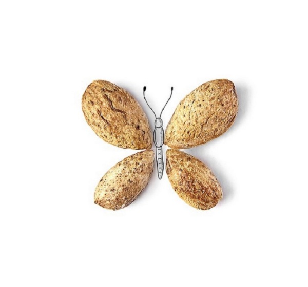 Ореховая бабочка