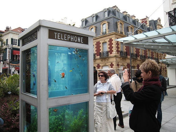 Телефонная будка-аквариум