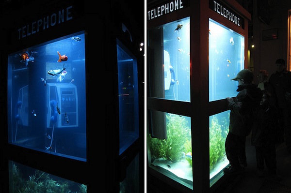 Ночное освещение аквариума в телефонной будке