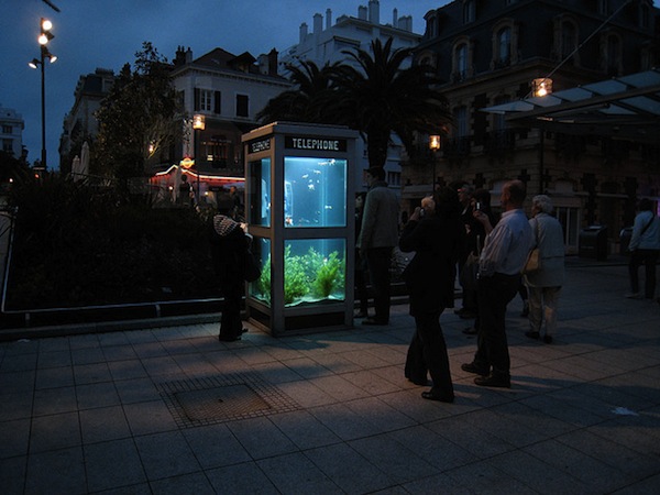 Телефонная будка-аквариум ночью