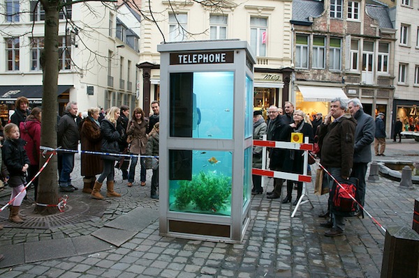 Телефонная будка-аквариум на улице города