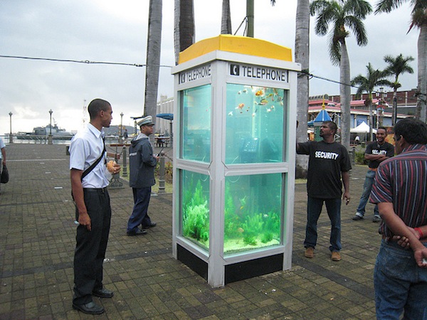 Необычный аквариум в телефонной будке от Benoit Deseille и Benedetto Bufalino