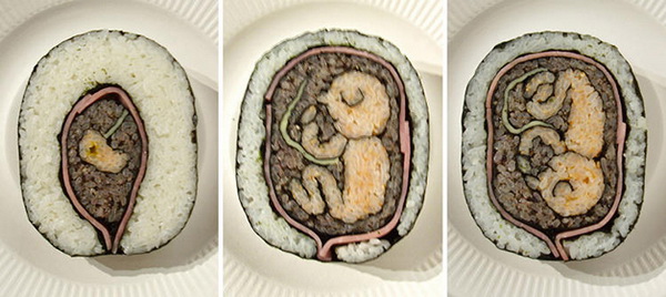роллы, изображающие внутриутробное развитие ребенка