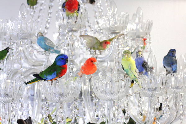 Люстра с птицами XL bird chandelier
