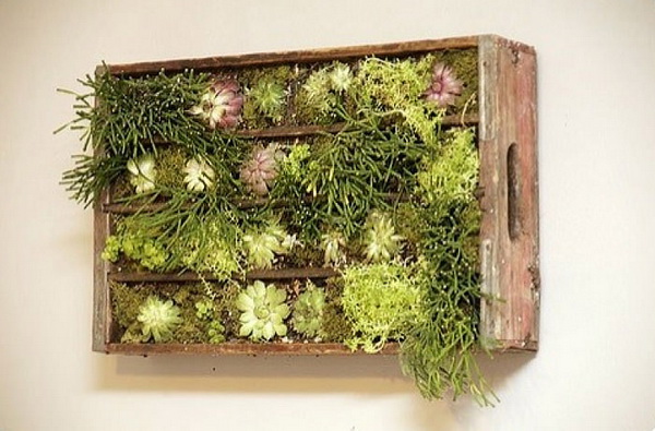 деревянные ящики в роли кадки для цветов