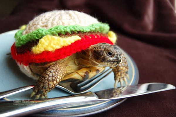 Черепаха - гамбургер.