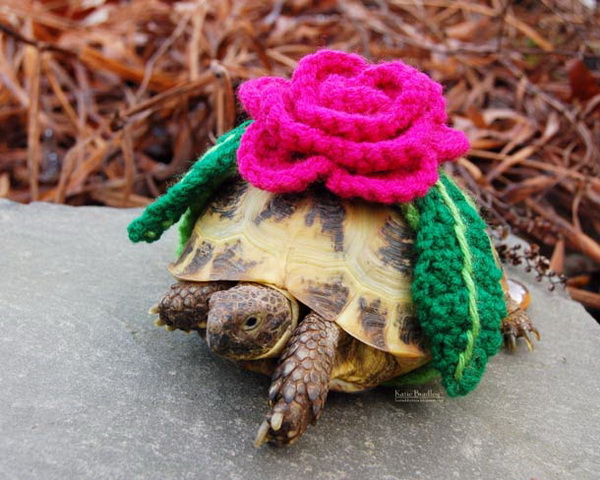 Черепаха с розой на спине.