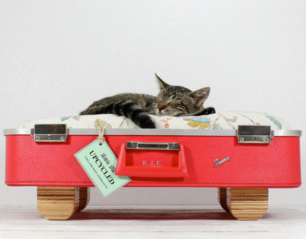 чемодан для котов